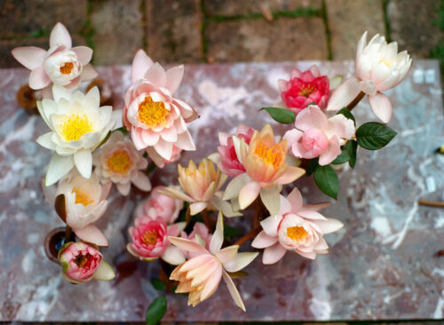 Alice Beasley Flowers