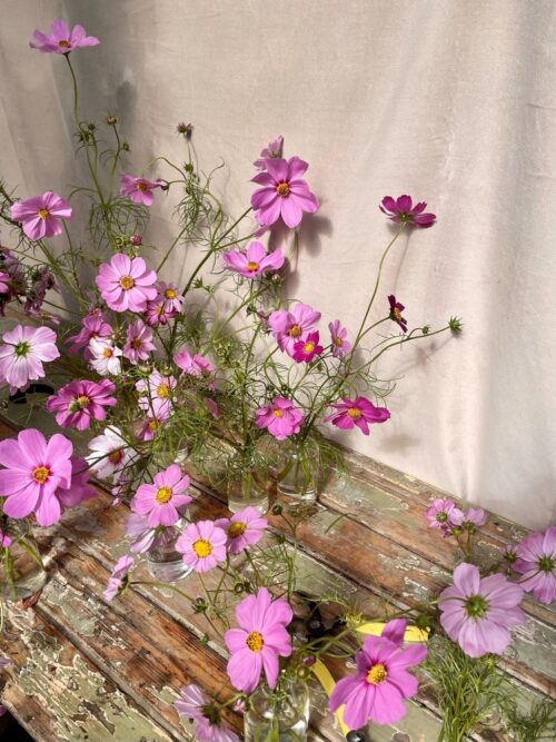 Alice Beasley Flowers